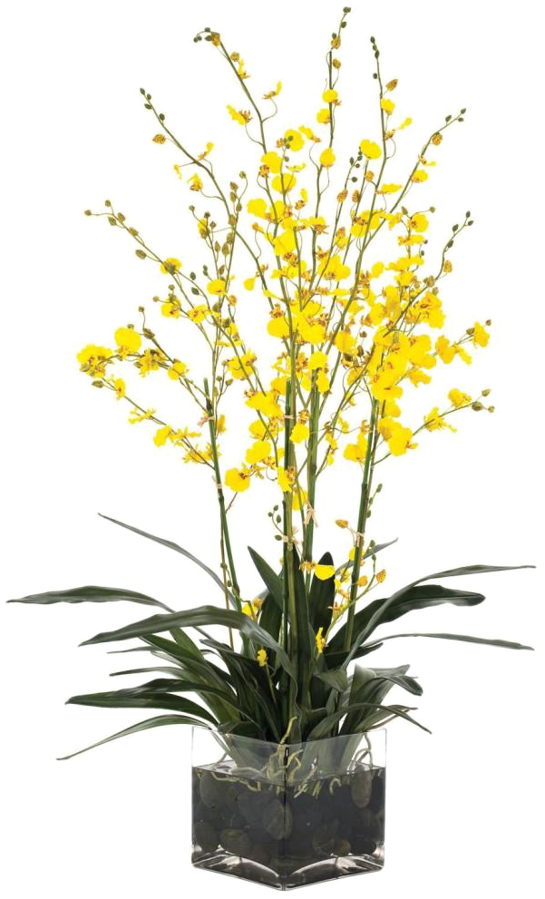 Yellow Orchidsin Glass Vase PNG