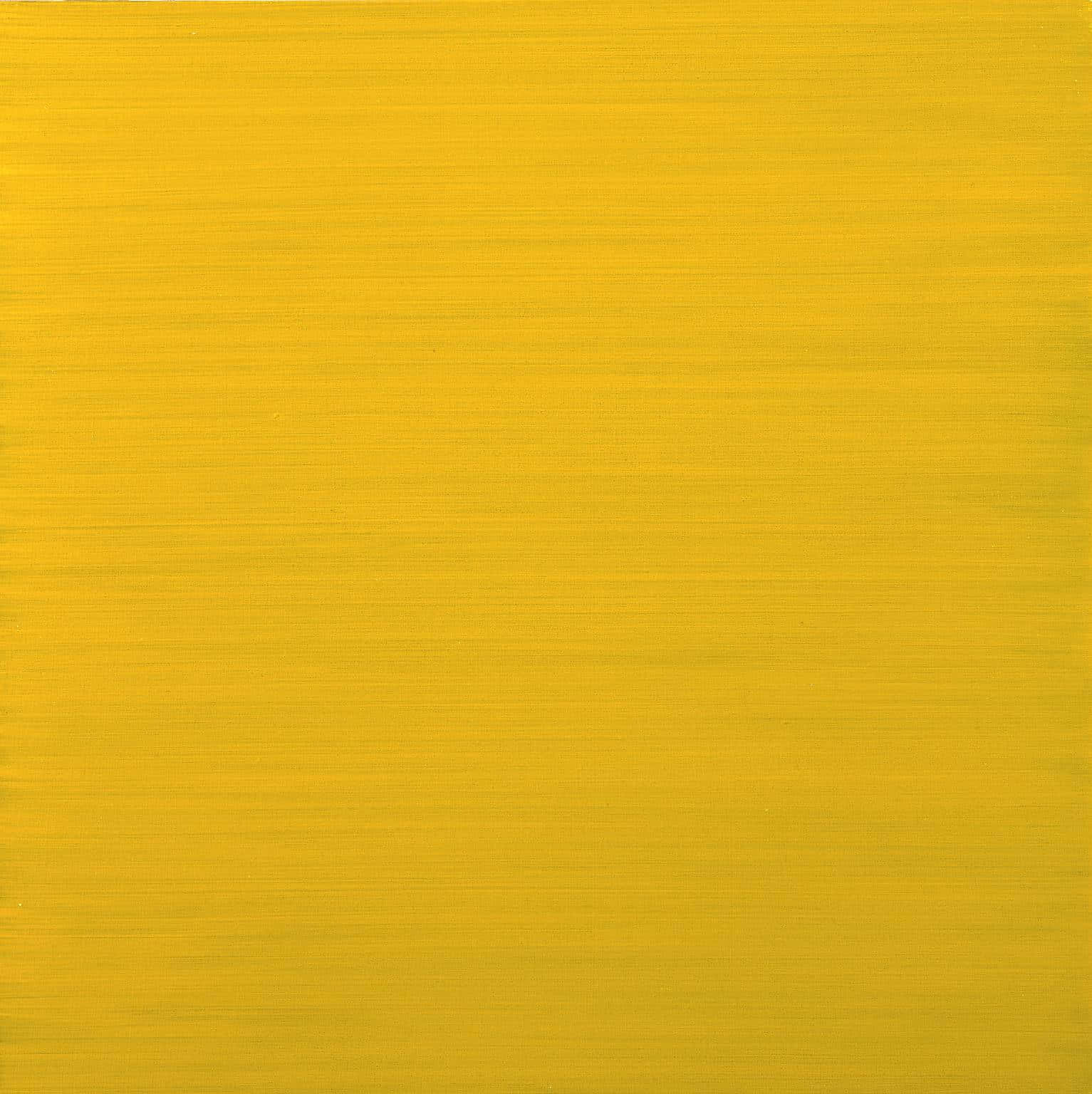 Vibrant Yellow Paint Strokes on Canvas Wallpaper