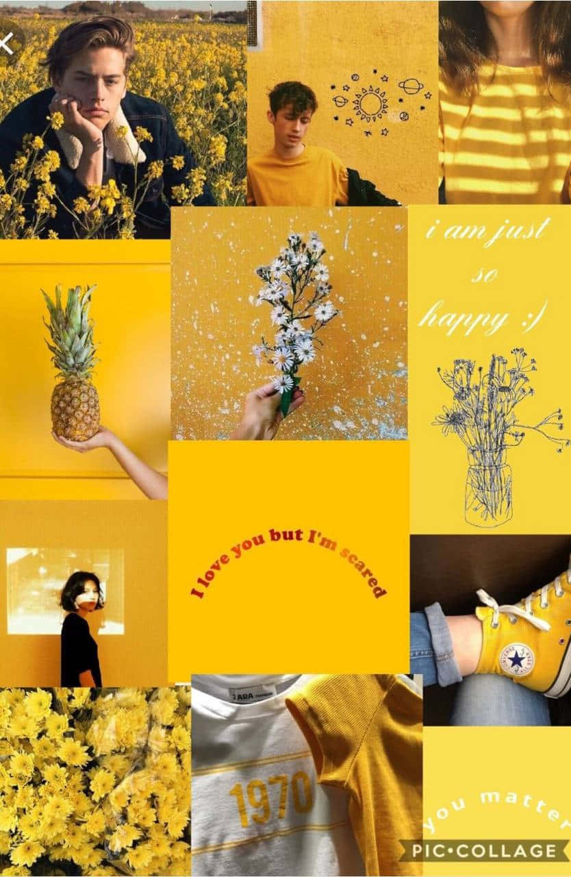 Yellow Instagram Theme Screenshot