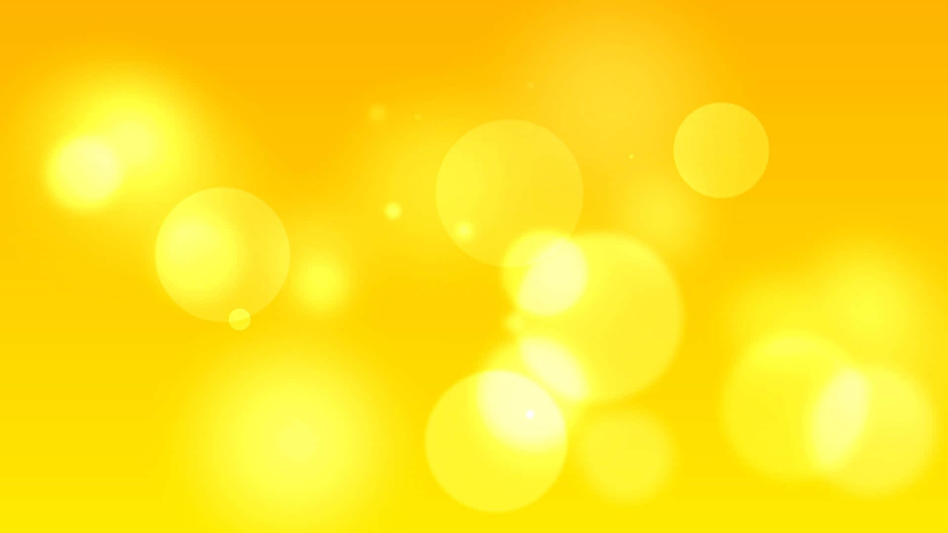 Umaflor Amarela Brilhante E Bonita Rodeada Por Folhagem Verde E Luz Do Sol.