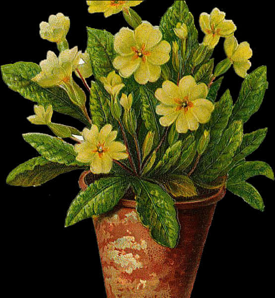 Yellow Primrosein Terra Cotta Pot PNG