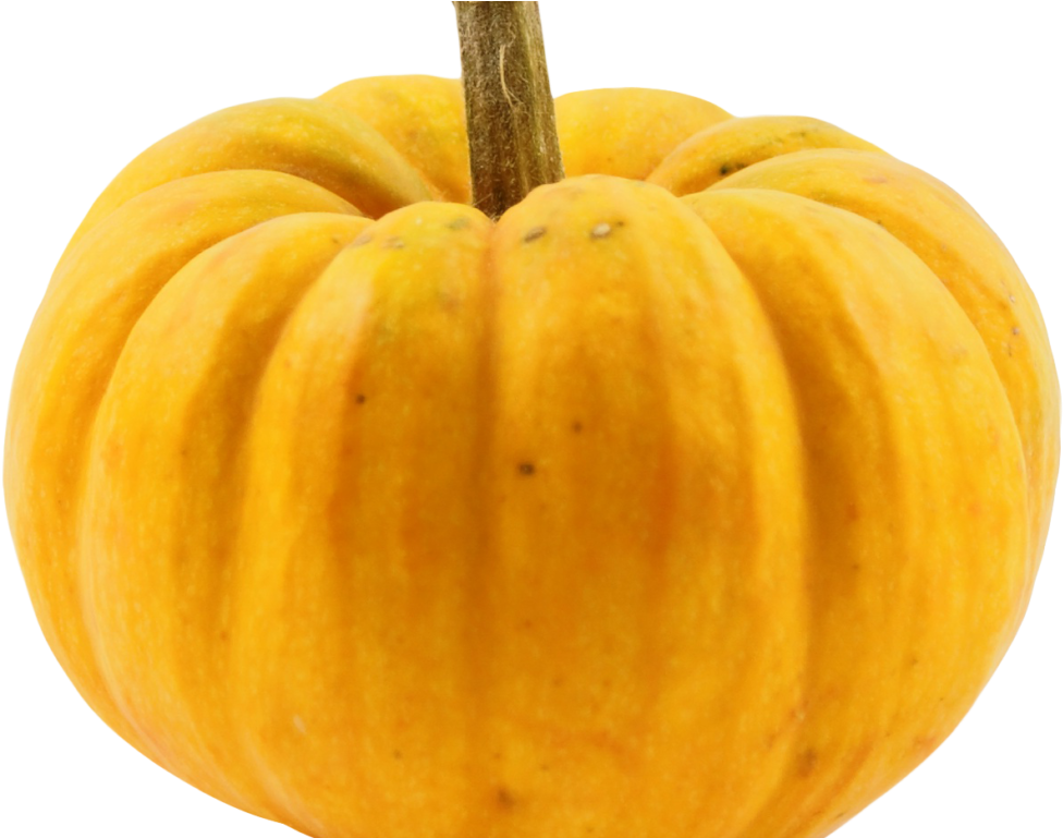 Yellow Pumpkin Squash Isolated PNG