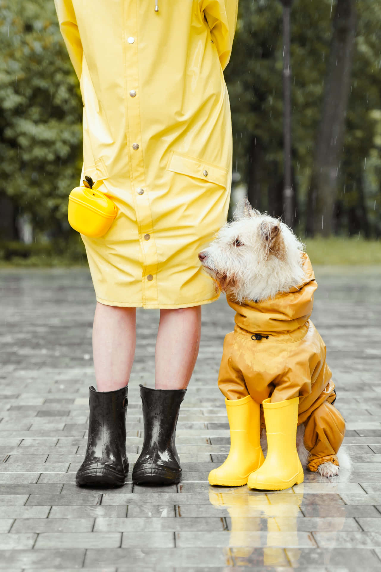 Woman wearing a vibrant yellow raincoat Wallpaper