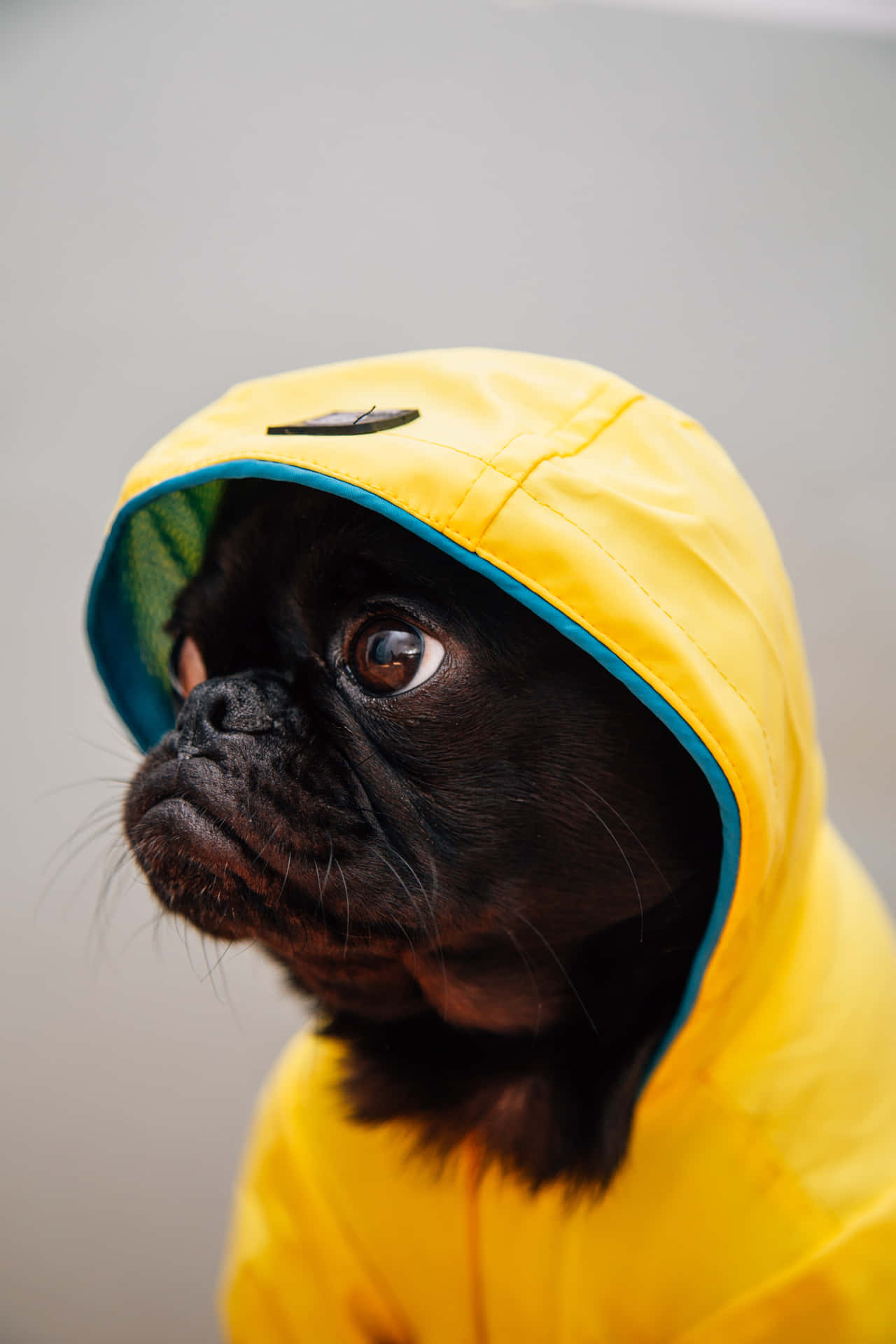 A person in a yellow raincoat on a rainy day Wallpaper