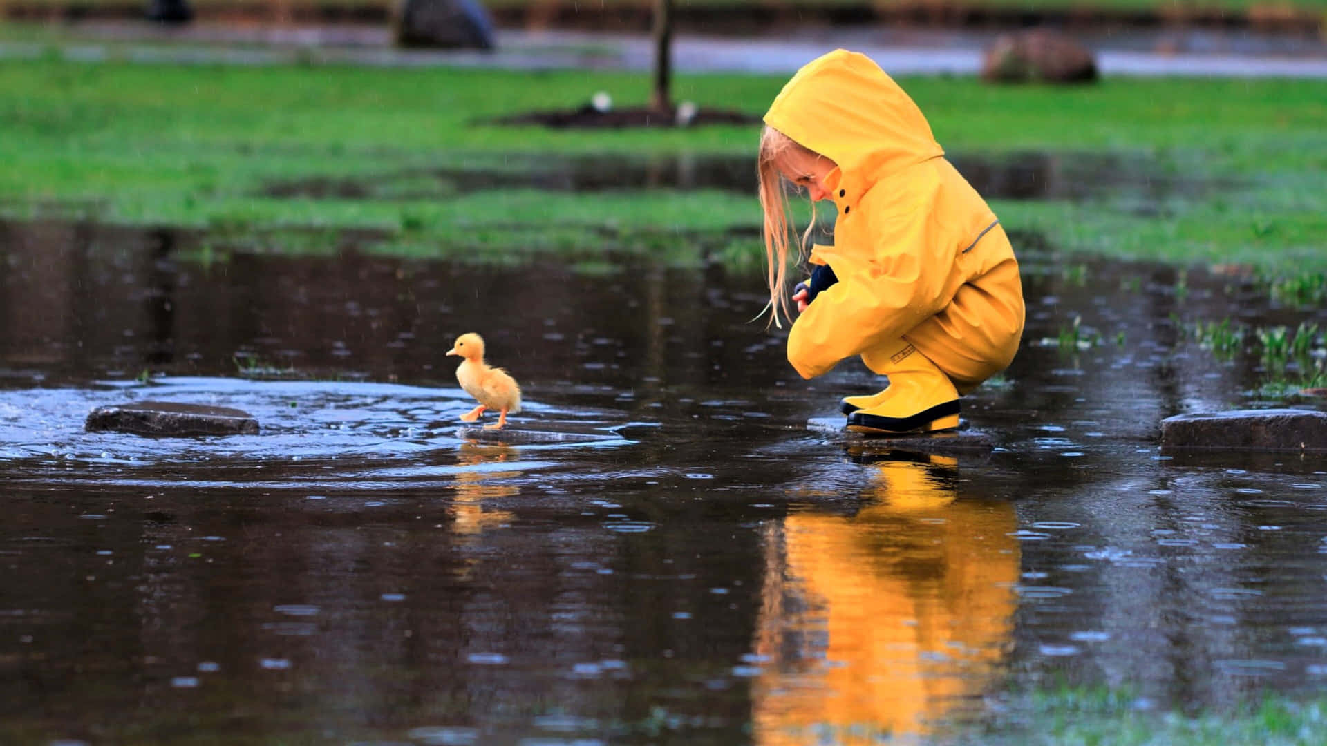 Caption: Woman in a vibrant yellow raincoat gazing at the grey sky Wallpaper