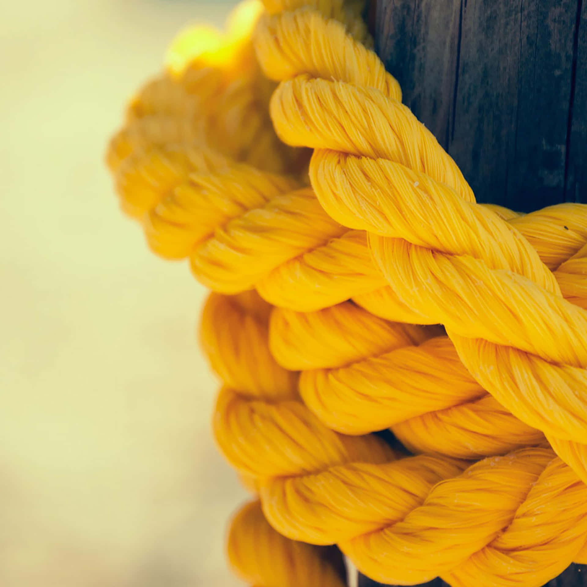 Yellow Rope Ipad Picture