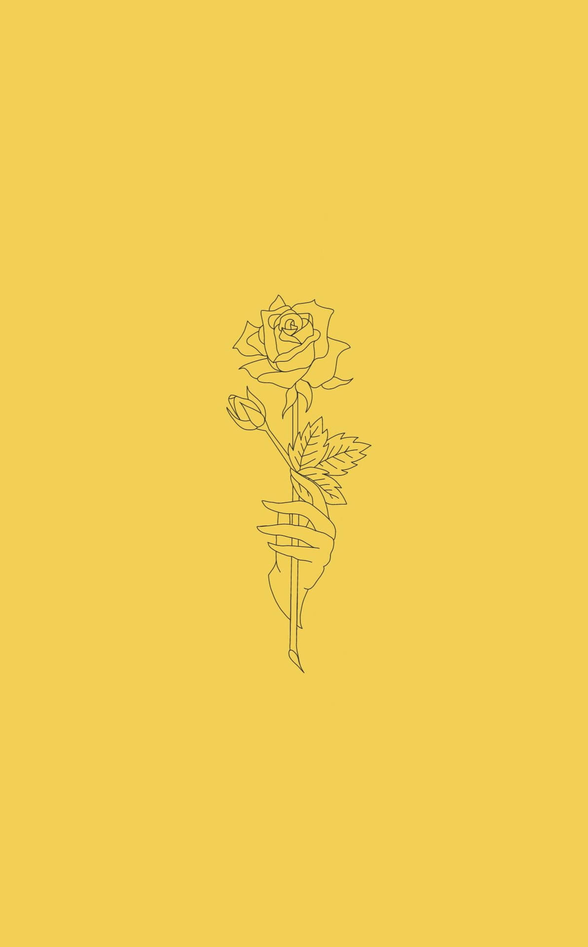 Yellow Rose Aesthetic Sketches Wallpaper