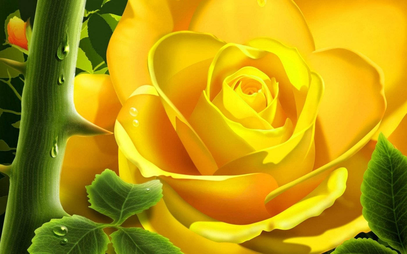 Yellow Rose Digital Art Wallpaper