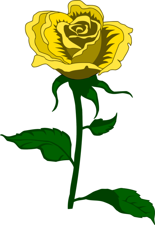 Yellow Rose Illustration.png PNG