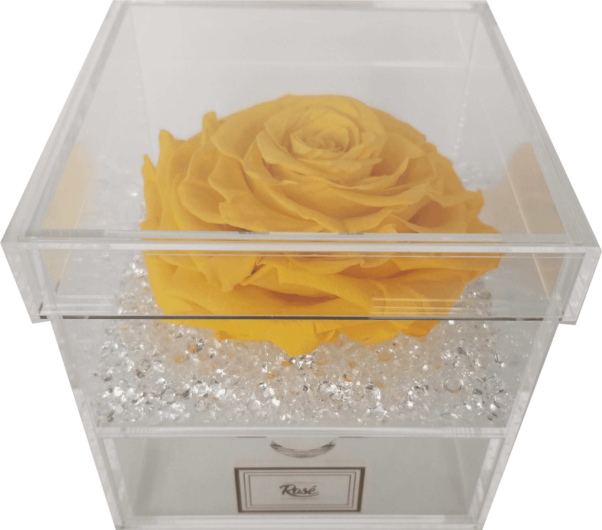 Yellow Rosein Acrylic Display Box PNG