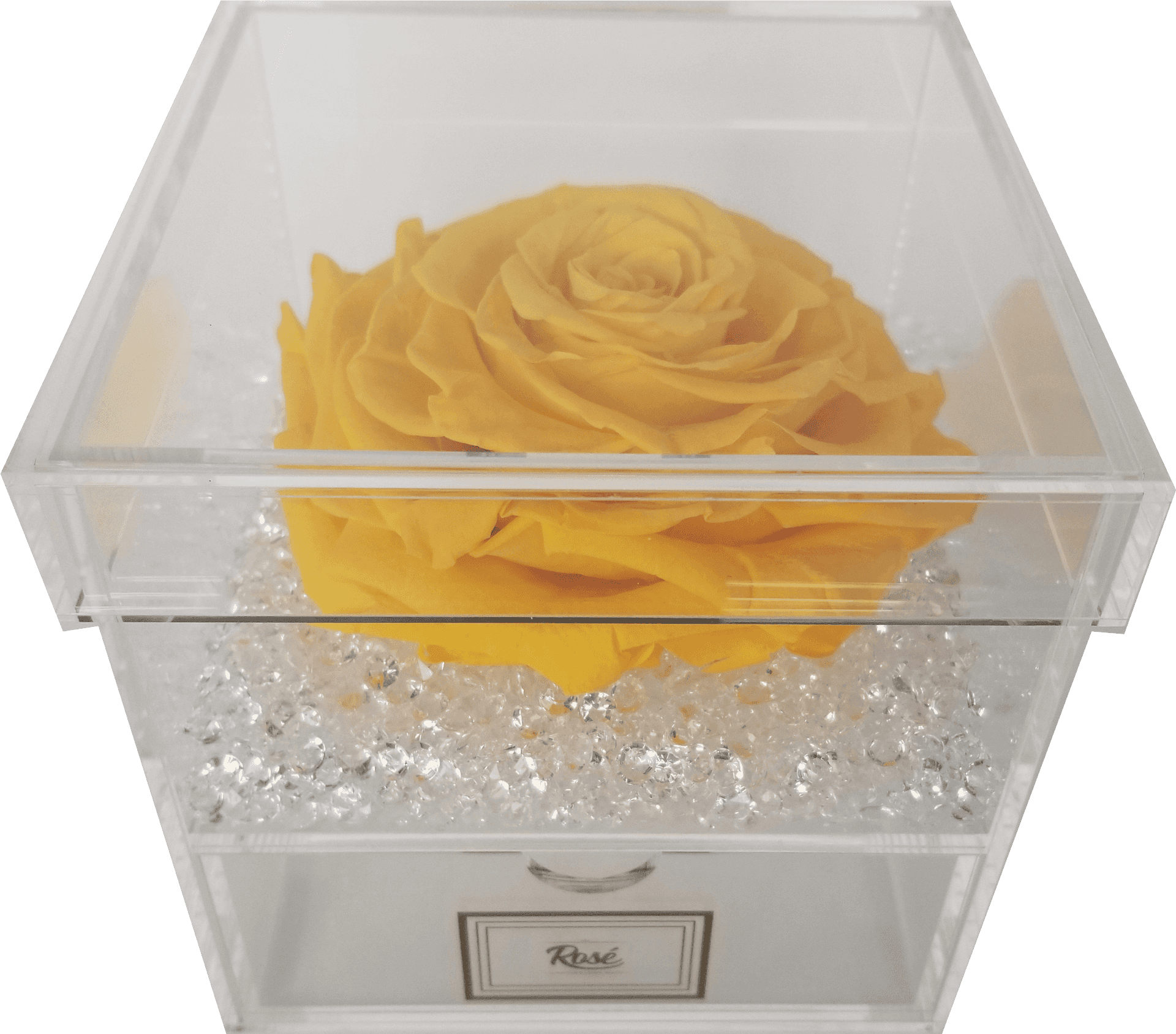 Download Yellow Rosein Acrylic Display Box | Wallpapers.com