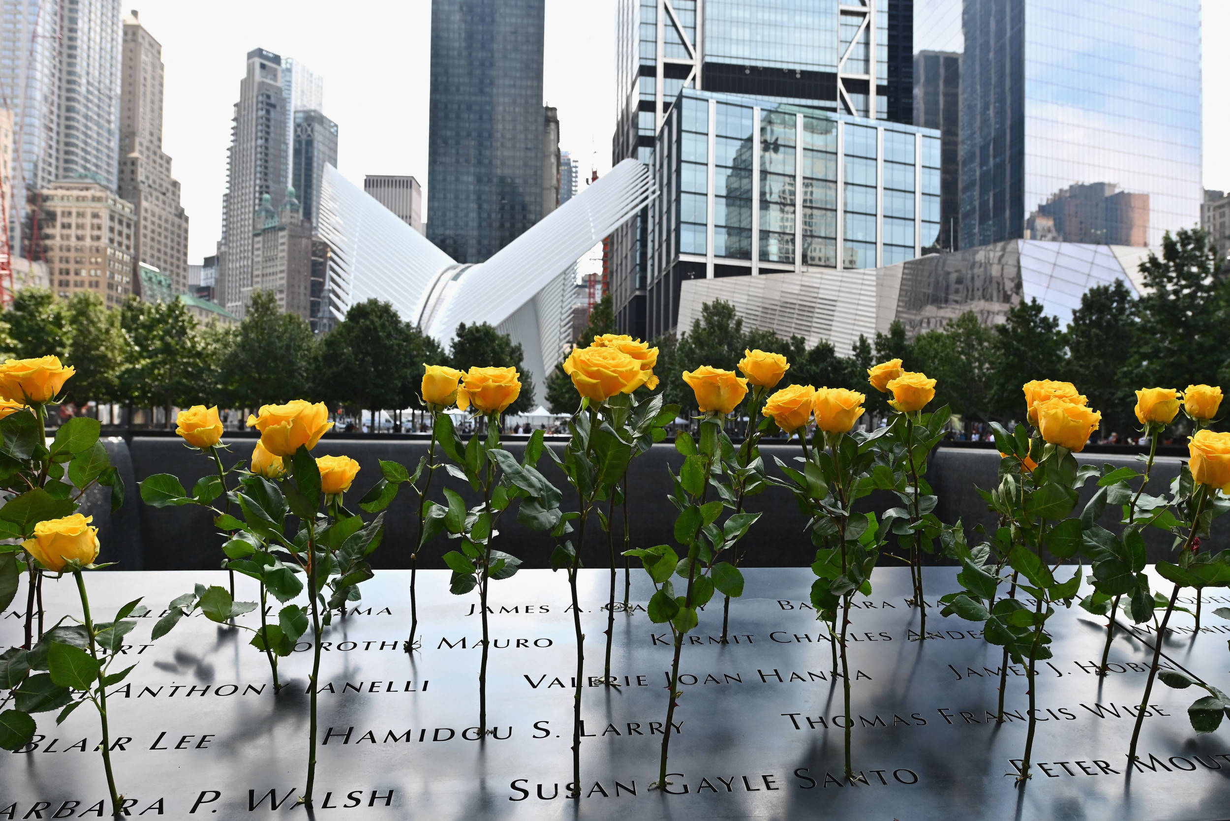 Yellow Roses At 911 Memorial Wallpaper