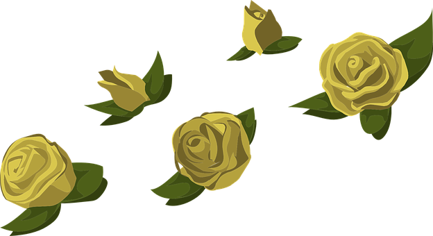 Yellow Roses Black Background PNG