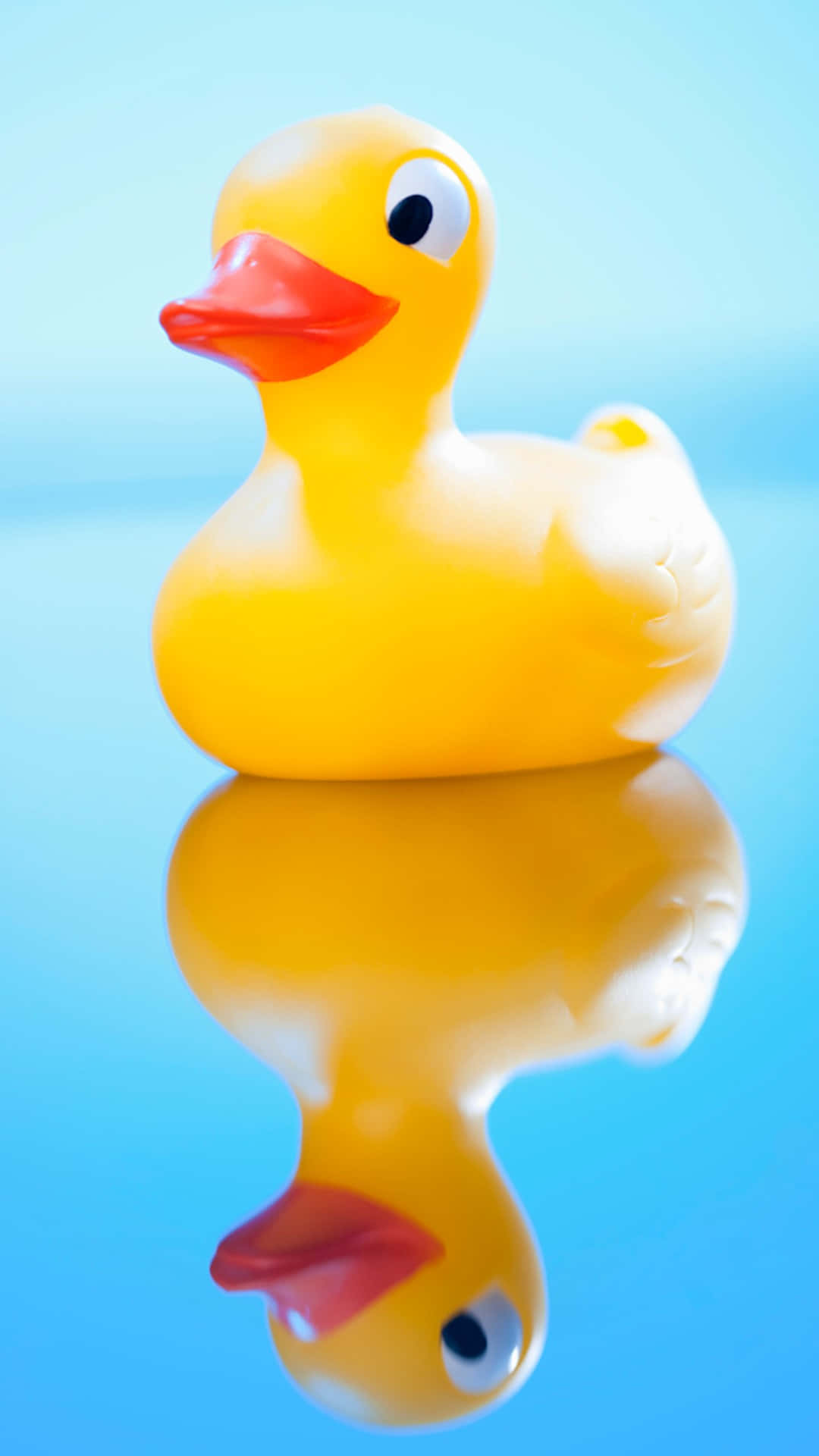 Yellow Rubber Duck Reflection Wallpaper