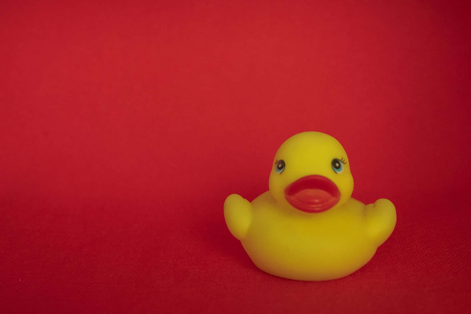 Yellow Rubber Ducky Red Background Wallpaper