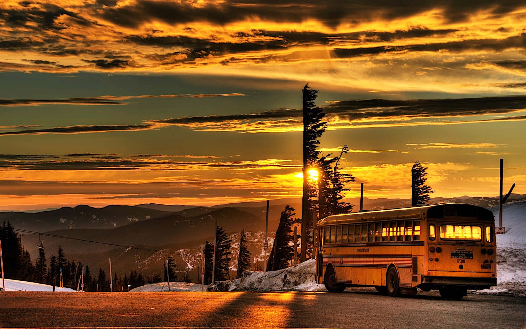 Yellow School Bus on a Sunny Day Wallpaper