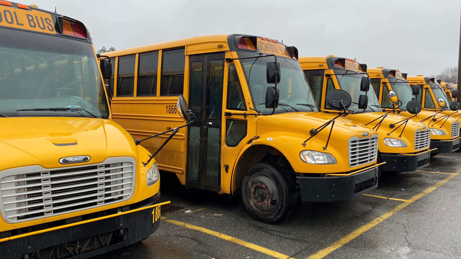 Heldere Gele Schoolbus Op Een Zonnige Dag Achtergrond