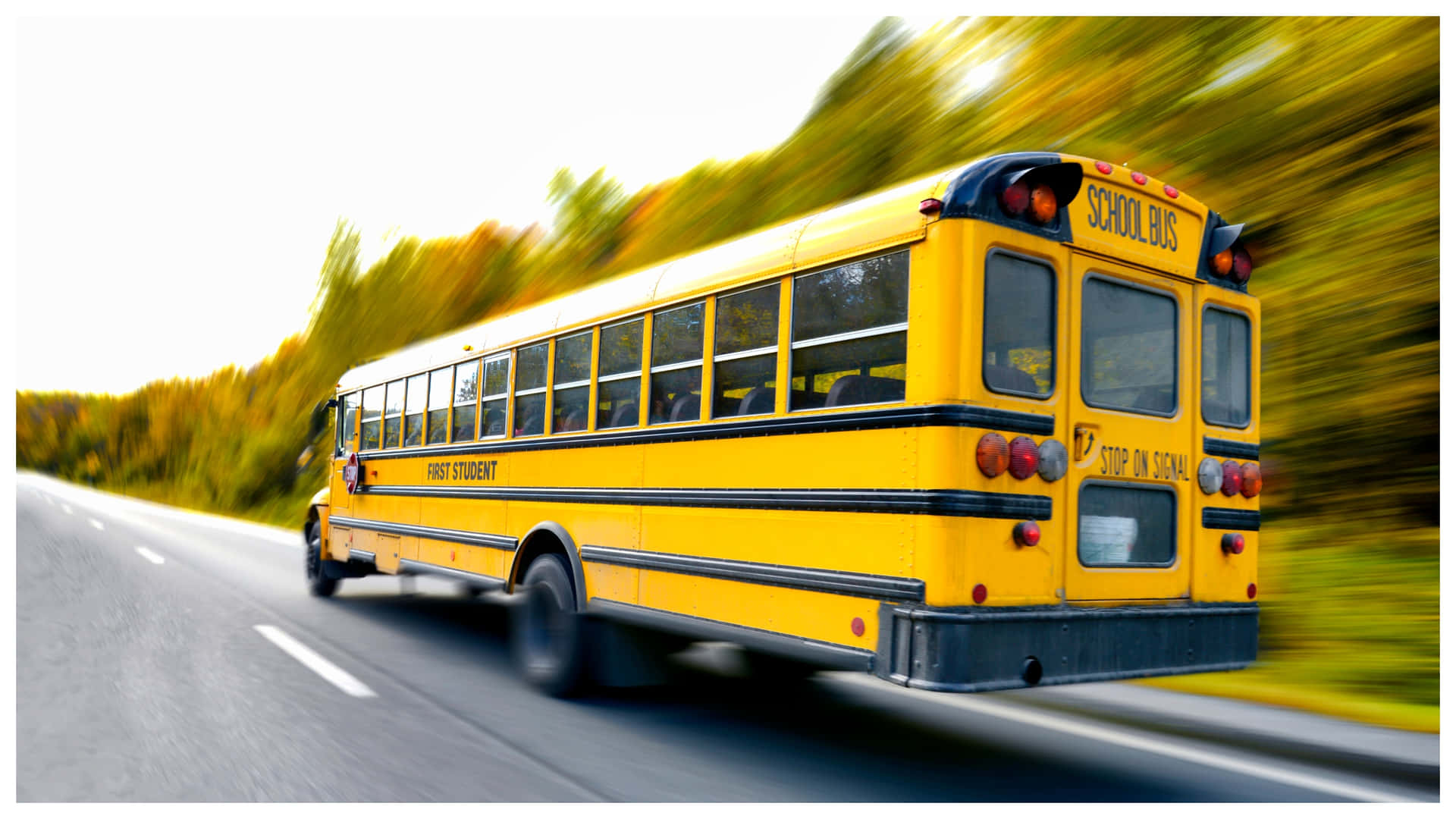 A yellow school bus parked on a sunny day Wallpaper