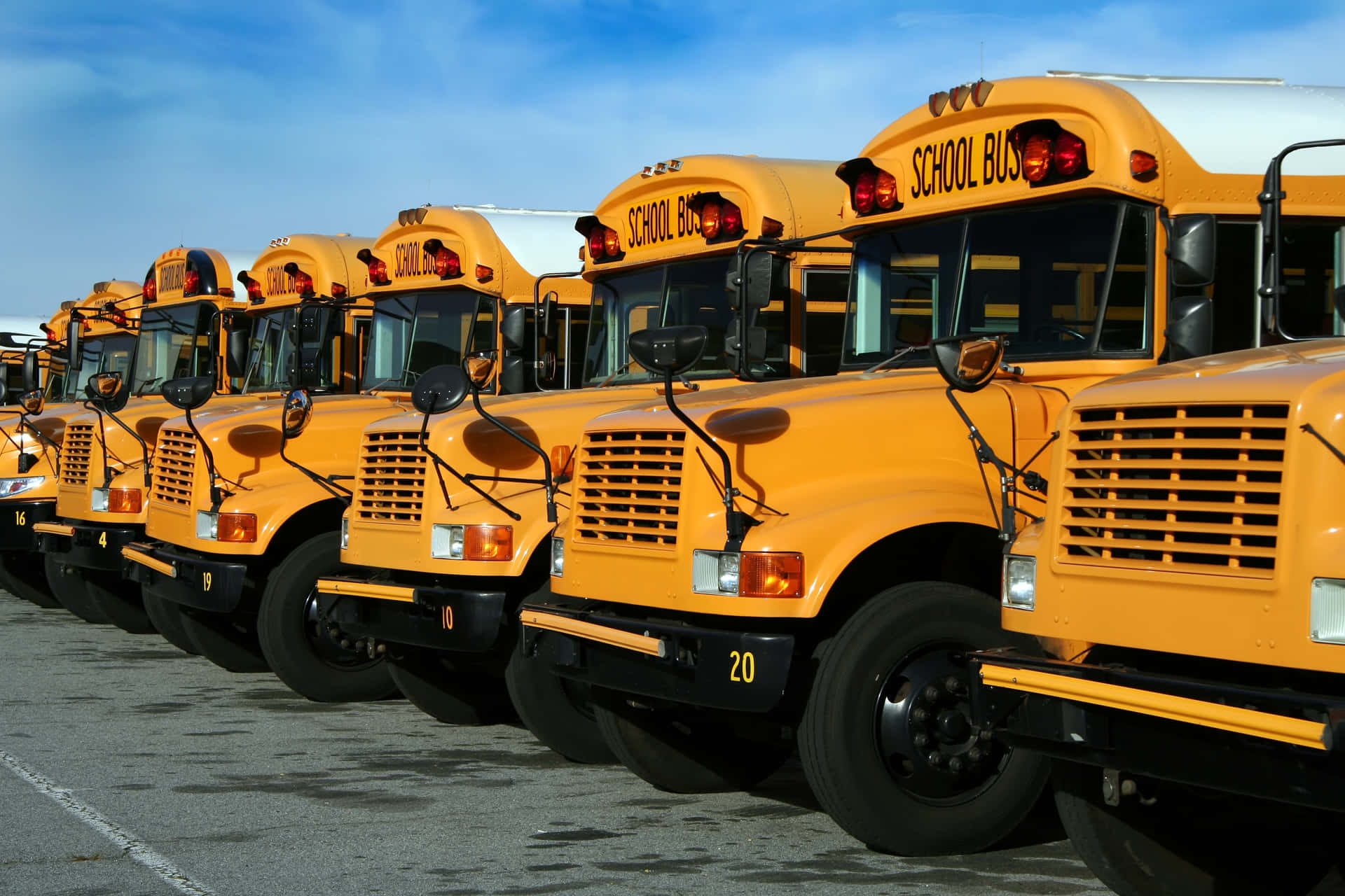 Klassieke Gele Schoolbus Op De Weg Achtergrond