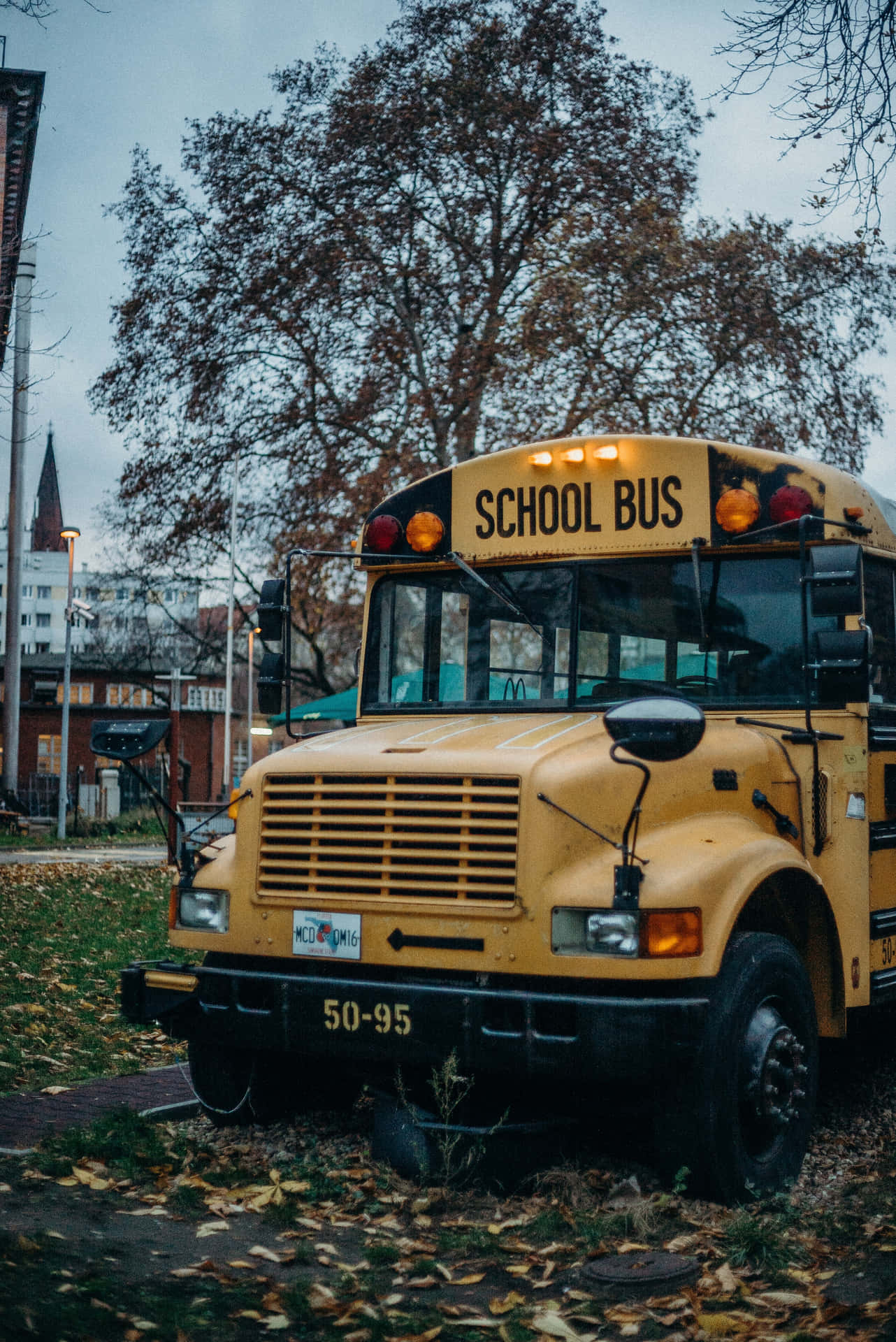 Yellow School Bus Autumn Season Background