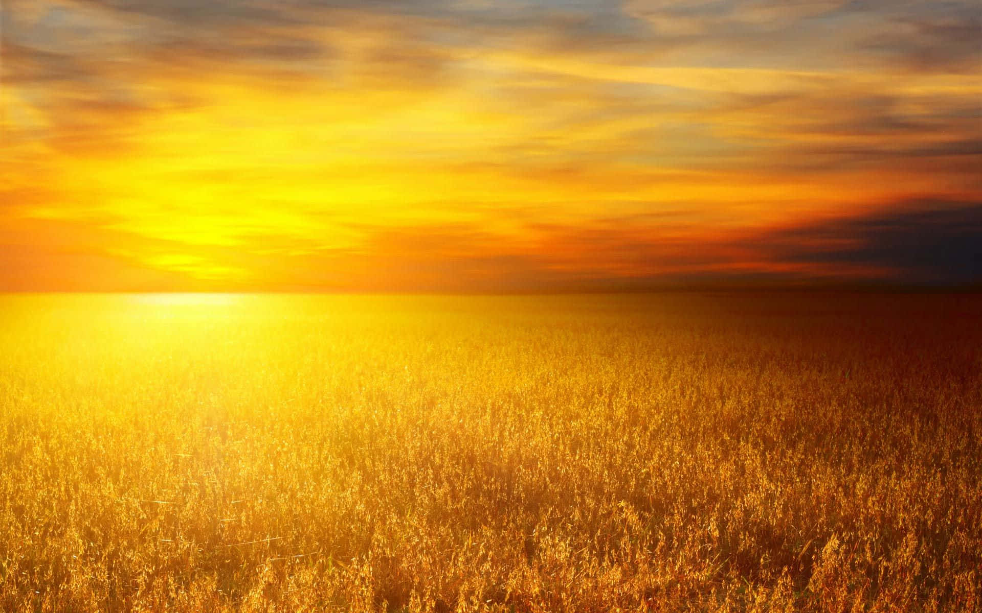 A breathtaking view of the yellow sky at sunset Wallpaper