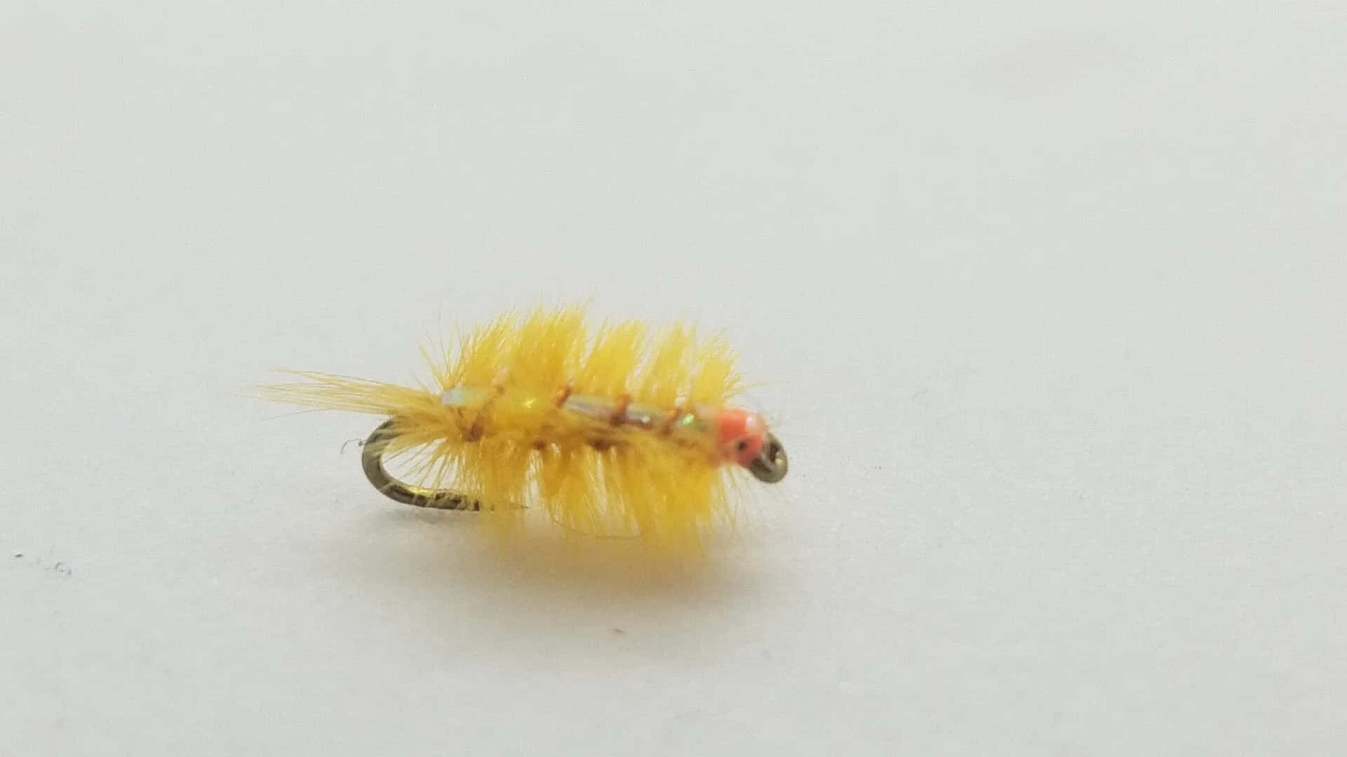 Yellow Sowbug Fly Fishing Lure Wallpaper