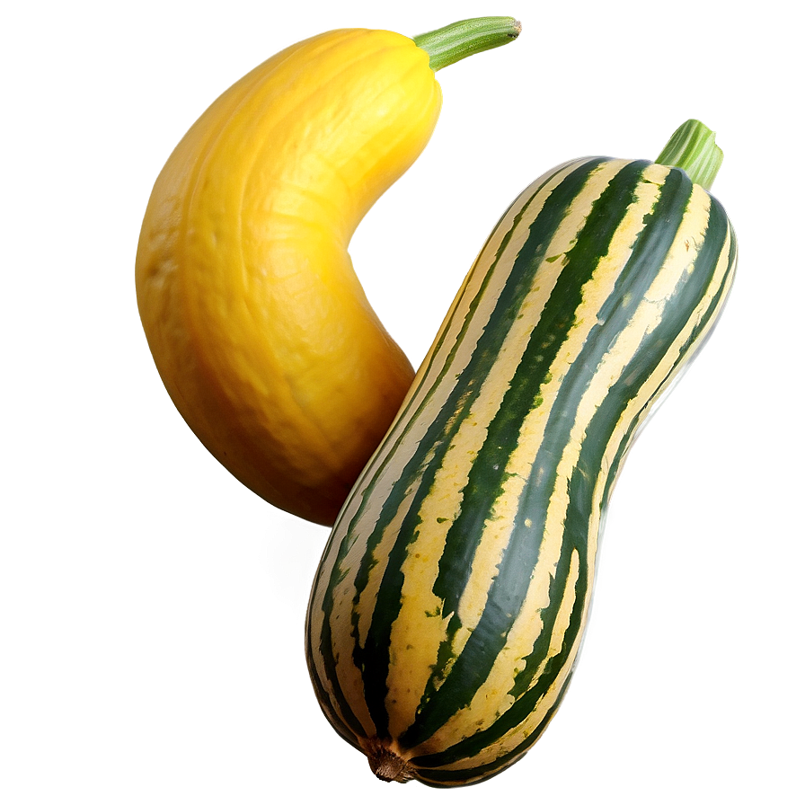 Yellow Squash Png Hob PNG