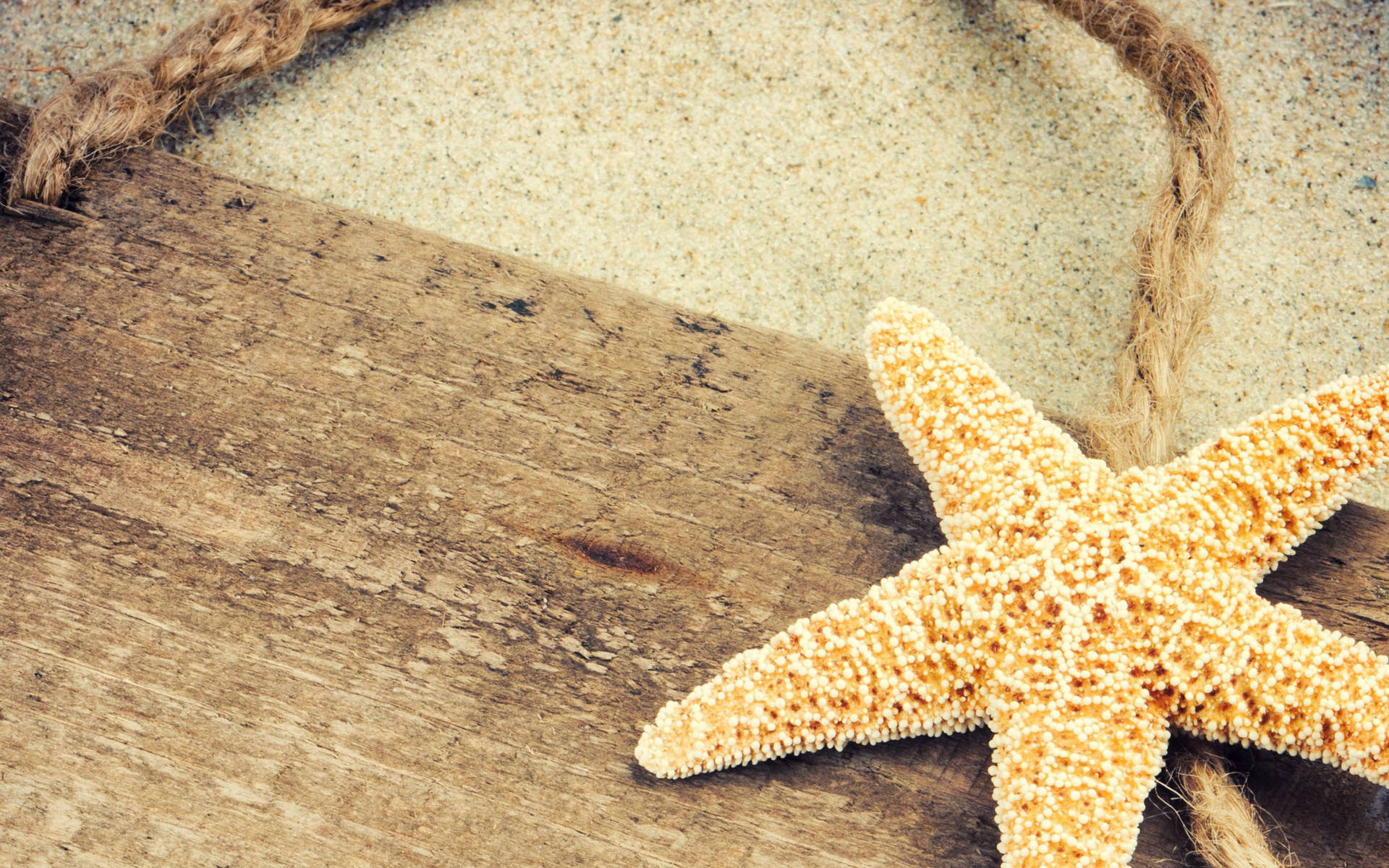 A Vibrant Yellow Starfish Resting on Wooden Surface Wallpaper