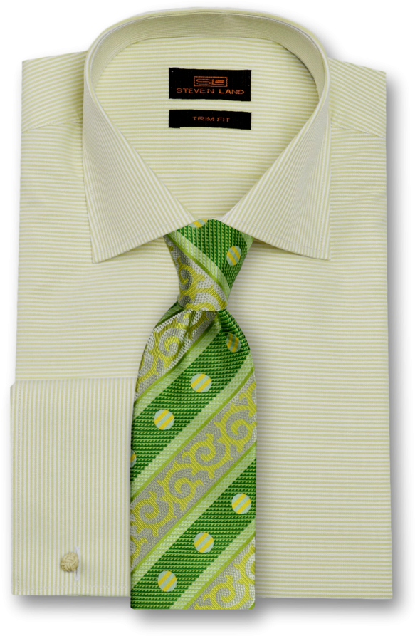 Yellow Striped Dress Shirtwith Green Tie PNG