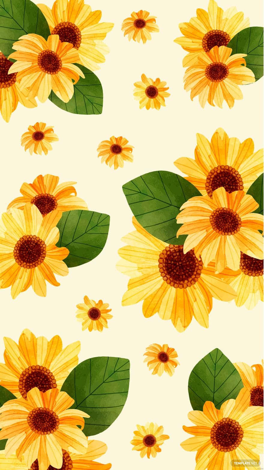 Sonnenblumenhintergrundbild - Hintergrundbilder Wallpaper