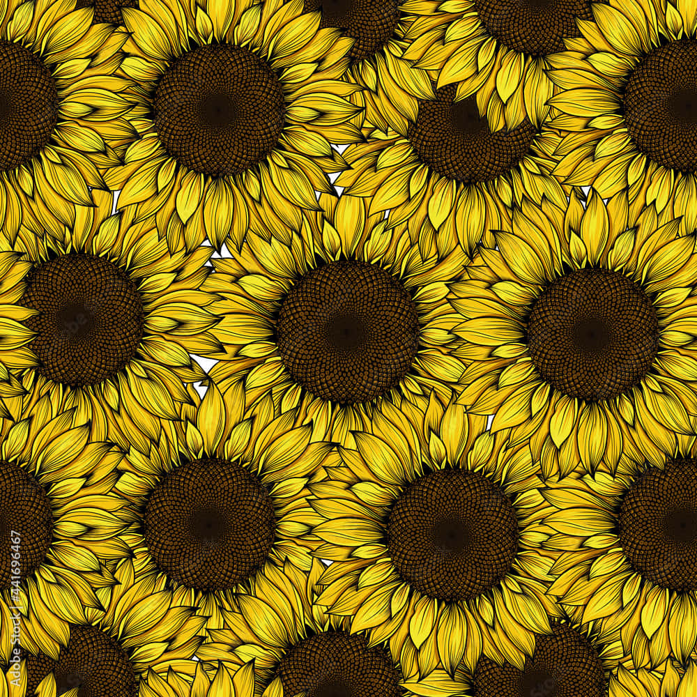 Brighten up your day with a sunny yellow sunflower. Wallpaper
