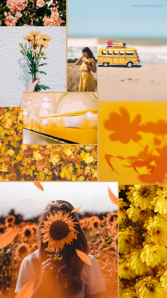 Gelbessonnenblumen-ästhetik: Umarme Die Helligkeit Der Natur Wallpaper