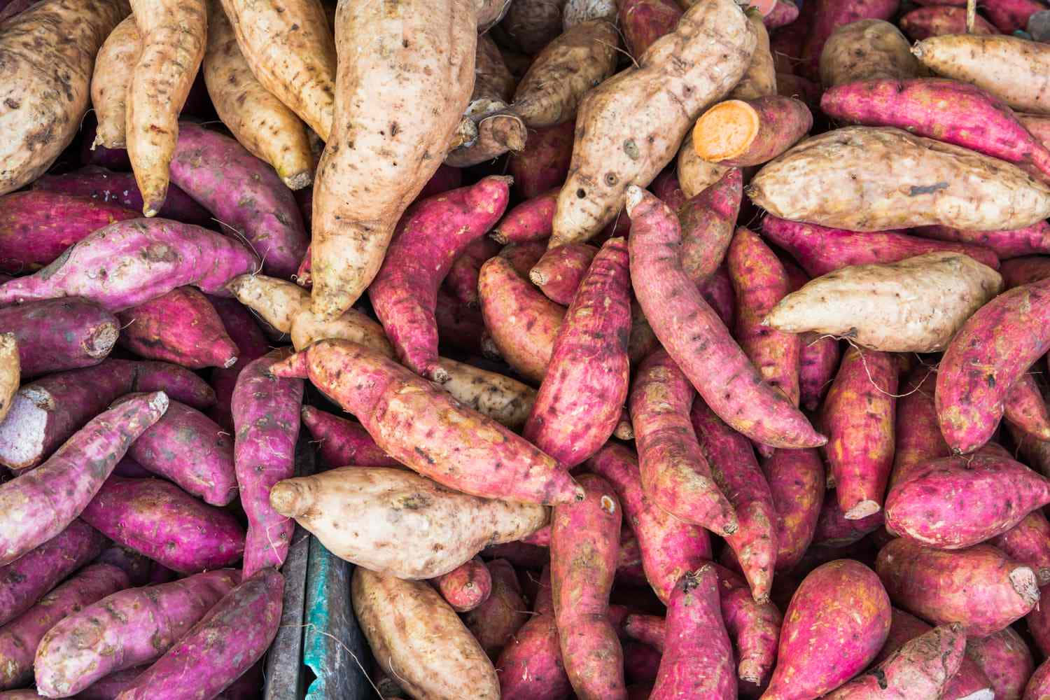 Fresh Yellow Sweet Potatoes Up Close Wallpaper