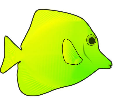 Yellow Tang Fish Illustration PNG