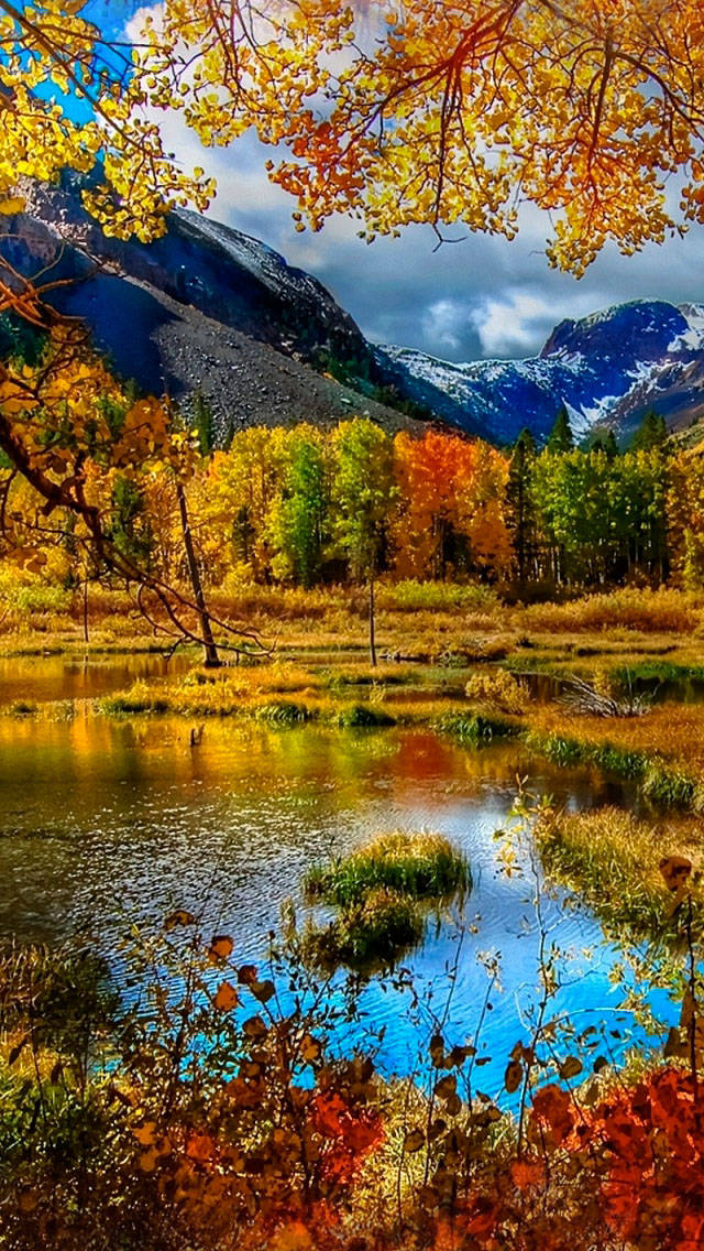 Yellow Trees And Mountain Fall IPhone Wallpaper