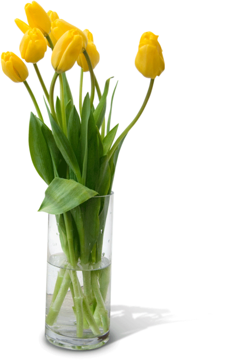Yellow Tulipsin Glass Vase PNG