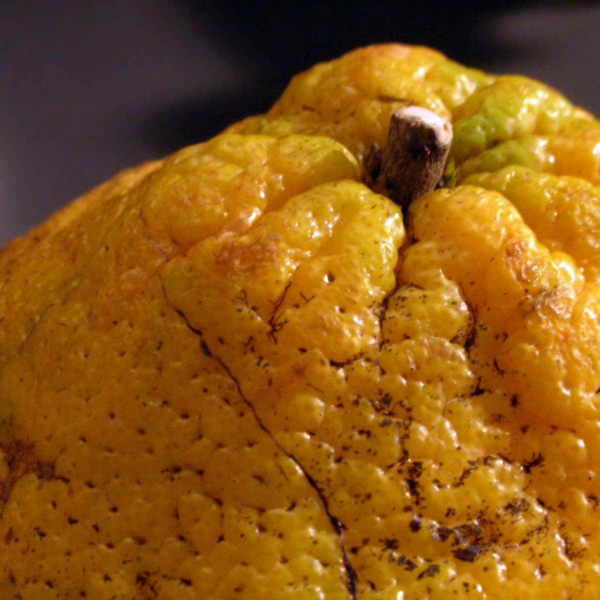 Frutacítrica Amarela Ugli Em Close-up. Papel de Parede