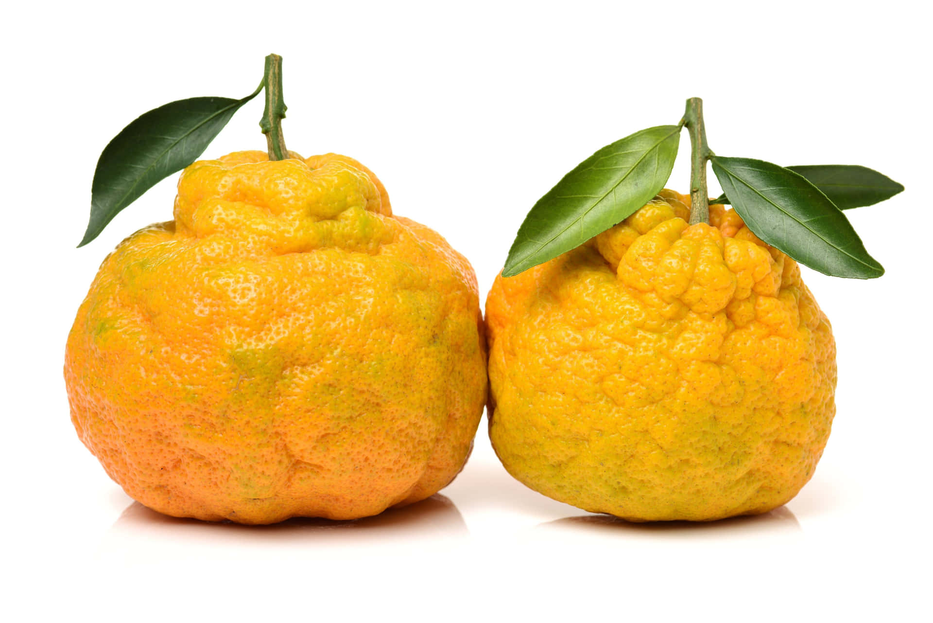 Yellow Ugli Citrus Fruits With Leaves Wallpaper