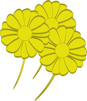 Yellow Vector Daisies PNG