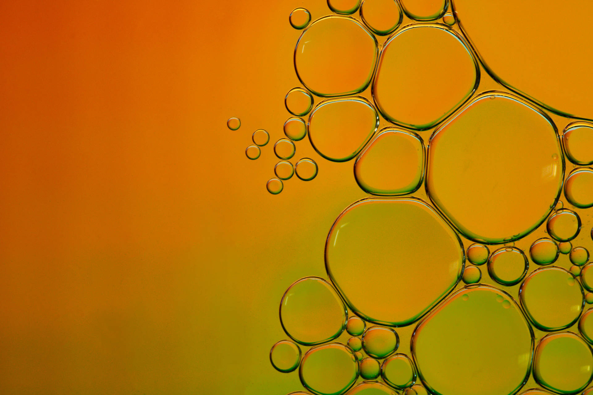 Yellow Water Dew Abstract Art