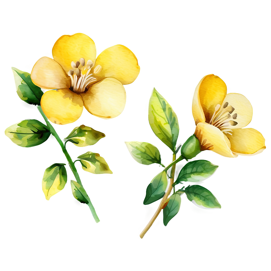Yellow Watercolor Flowers Png 06122024 PNG