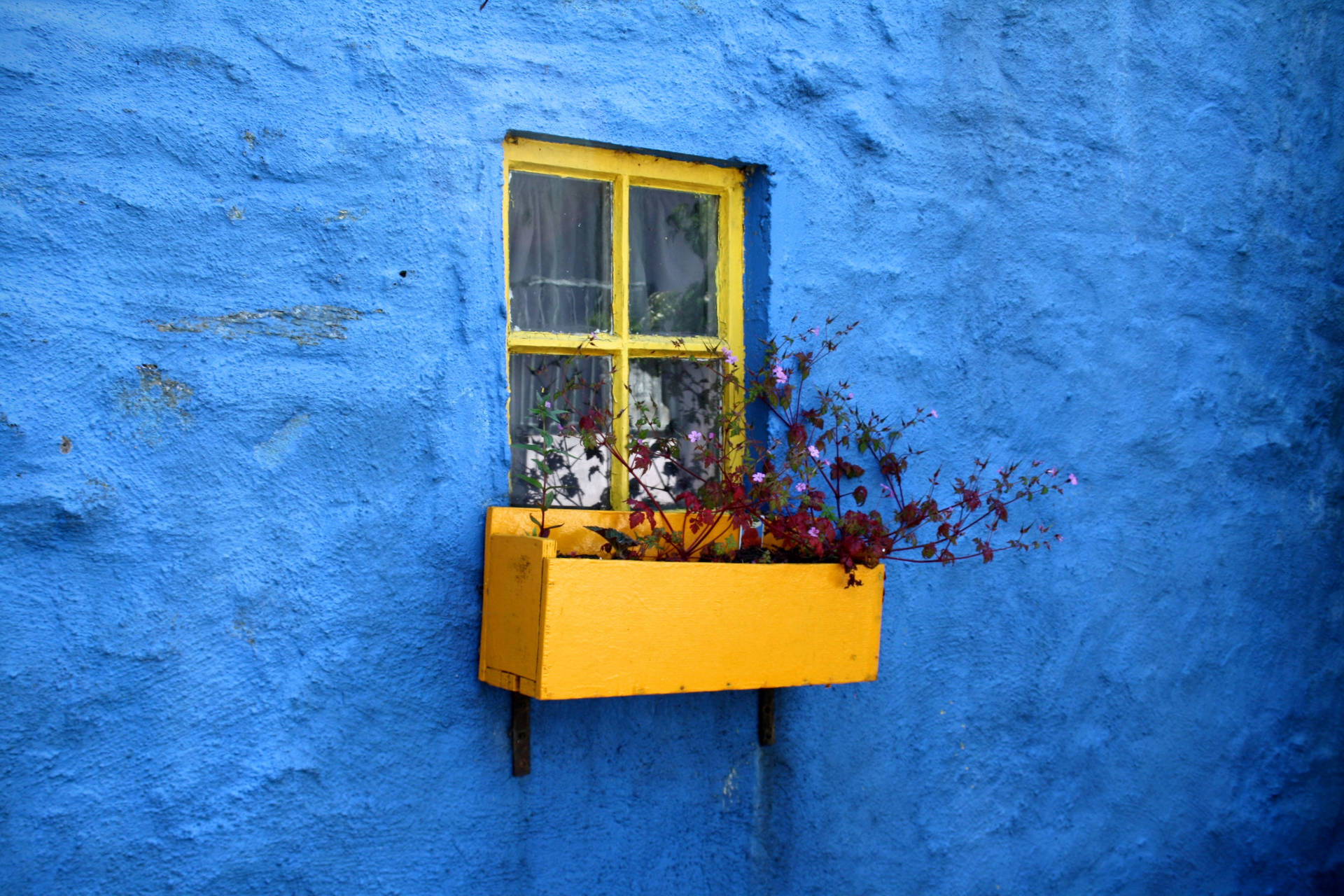 Yellow Window On Blue Wall Wallpaper