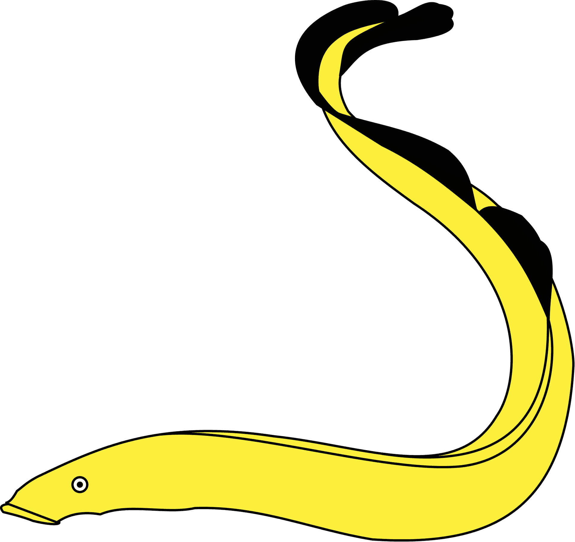 Yellowand Black Eel Illustration.png PNG