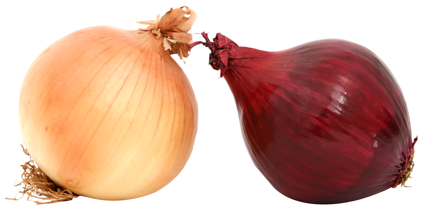 Yellowand Red Onions PNG