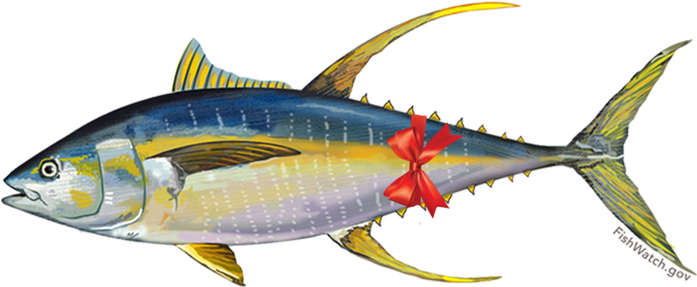 Yellowfin Tuna Illustrationwith Bow PNG