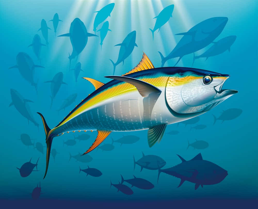 Yellowfin Tuna Swimming Underwater Wallpaper