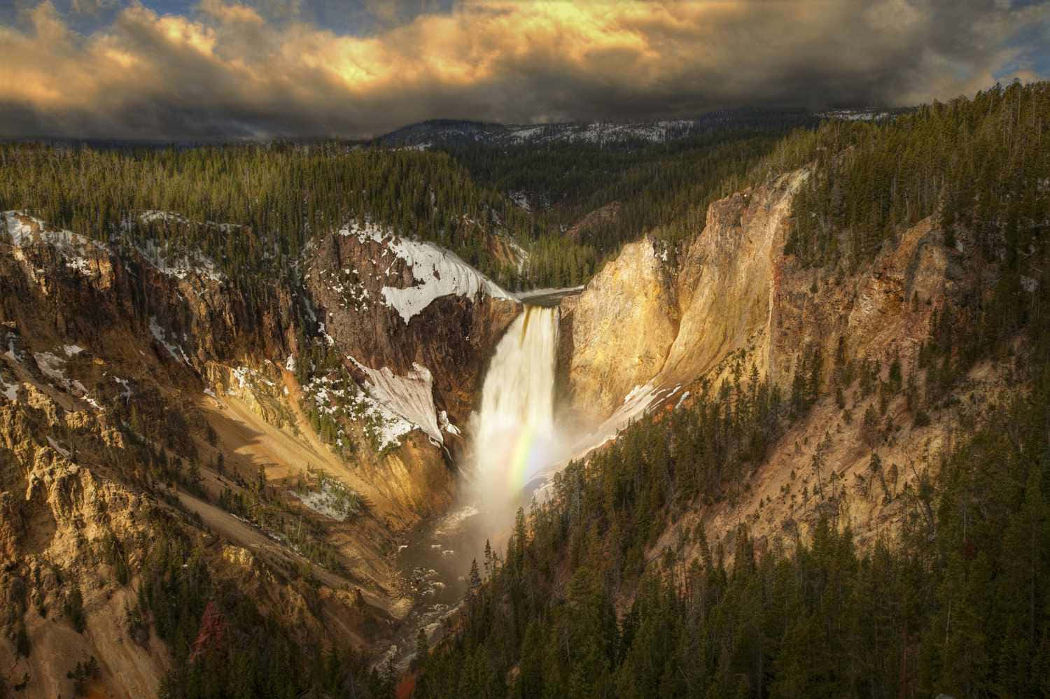 Imponentebisonte Deambulando Por Las Llanuras De Yellowstone. Fondo de pantalla
