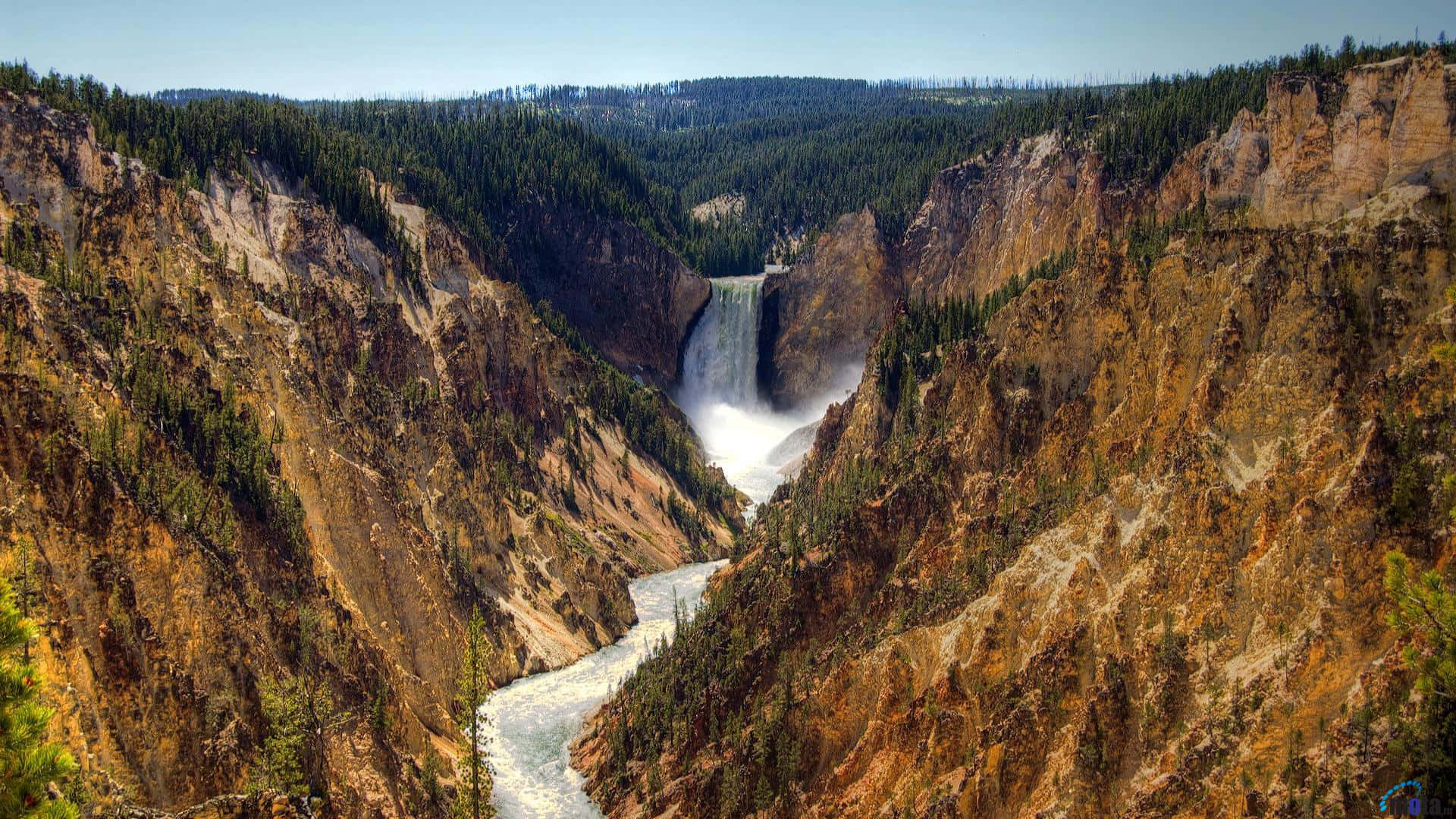 "Experience the Majestic Beauty of Yellowstone Wallpaper