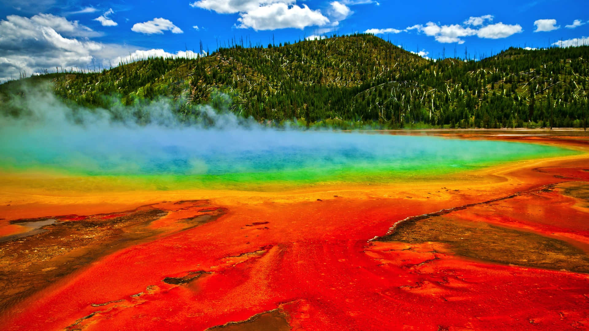 Yellowstone Red With Blue Grand Prismatic Spring Background