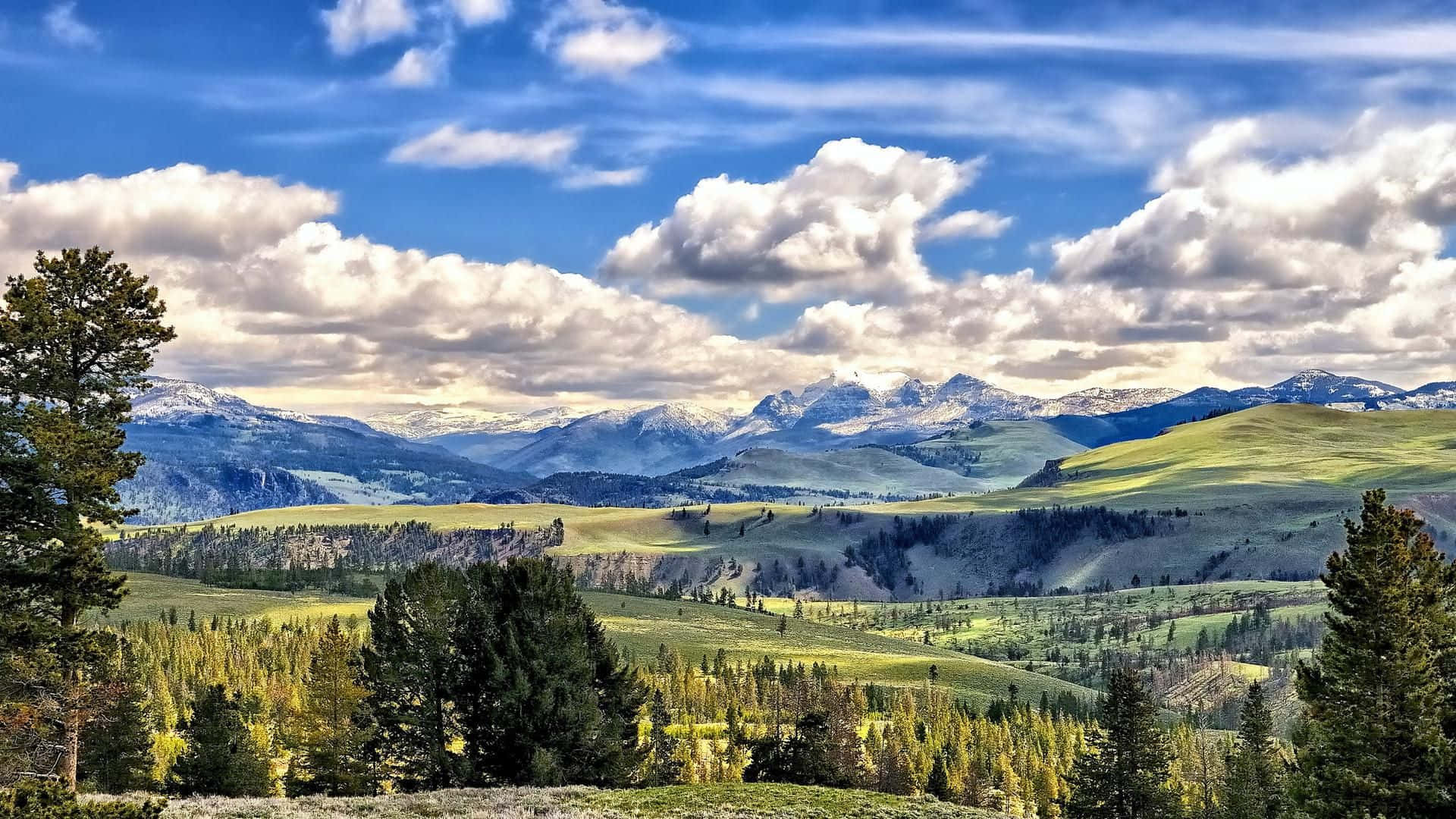 Yellowstone Painting Of Fields And Mountains Background